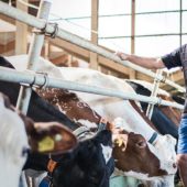 L&rsquo;ordinateur à la ferme