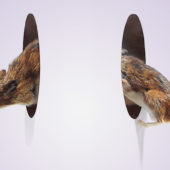 Hacker verbessern IT-Sicherheit