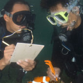 Leiden Sie unter «Survey Fatigue»?