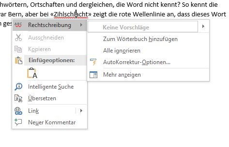 Word Benutzerwörterbuch Wort hinzufügen