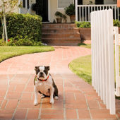 So schützen Sie Ihr Smart Home