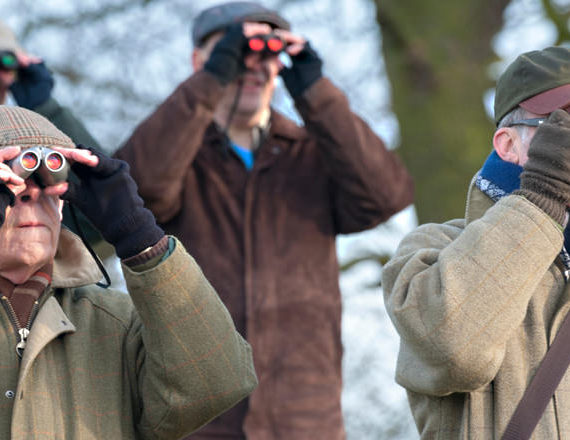 Schwarmintelligenz: Gemeinsam wissen wir mehr