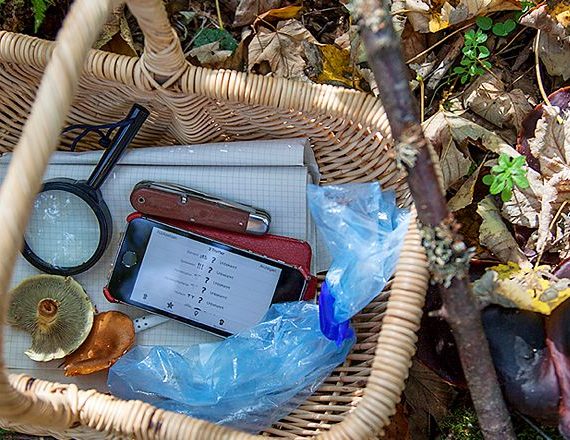 A caccia di funghi con un’app per smartphone