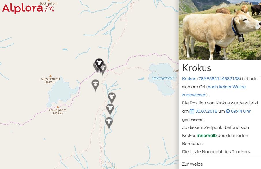 Cartina_con i localizzatori per mucche