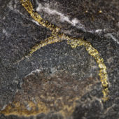 L’oro nascosto dello smartphone